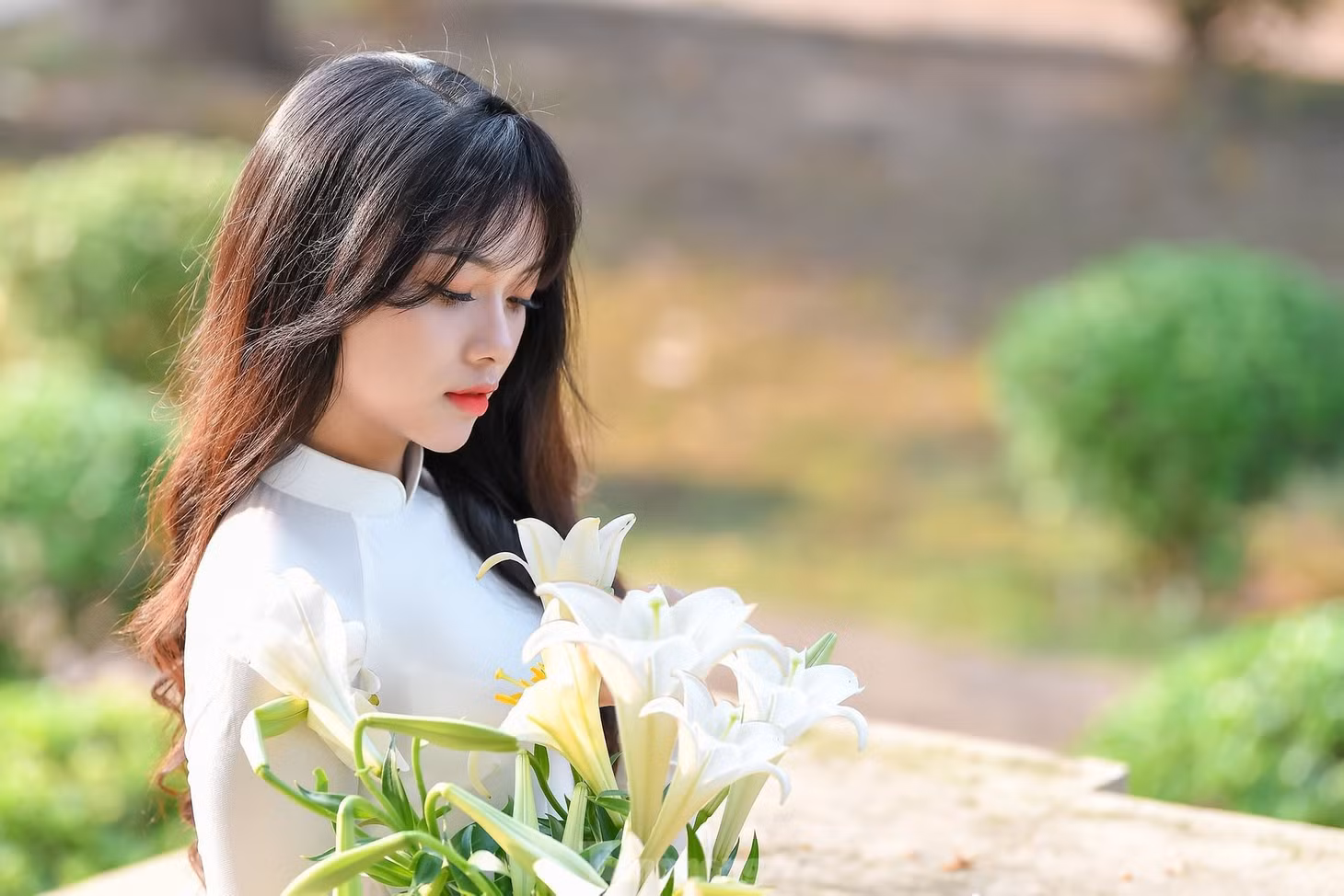 Hoa loa kèn xuống phố dịu dàng tinh khôi gọi tháng tư về ảnh 8