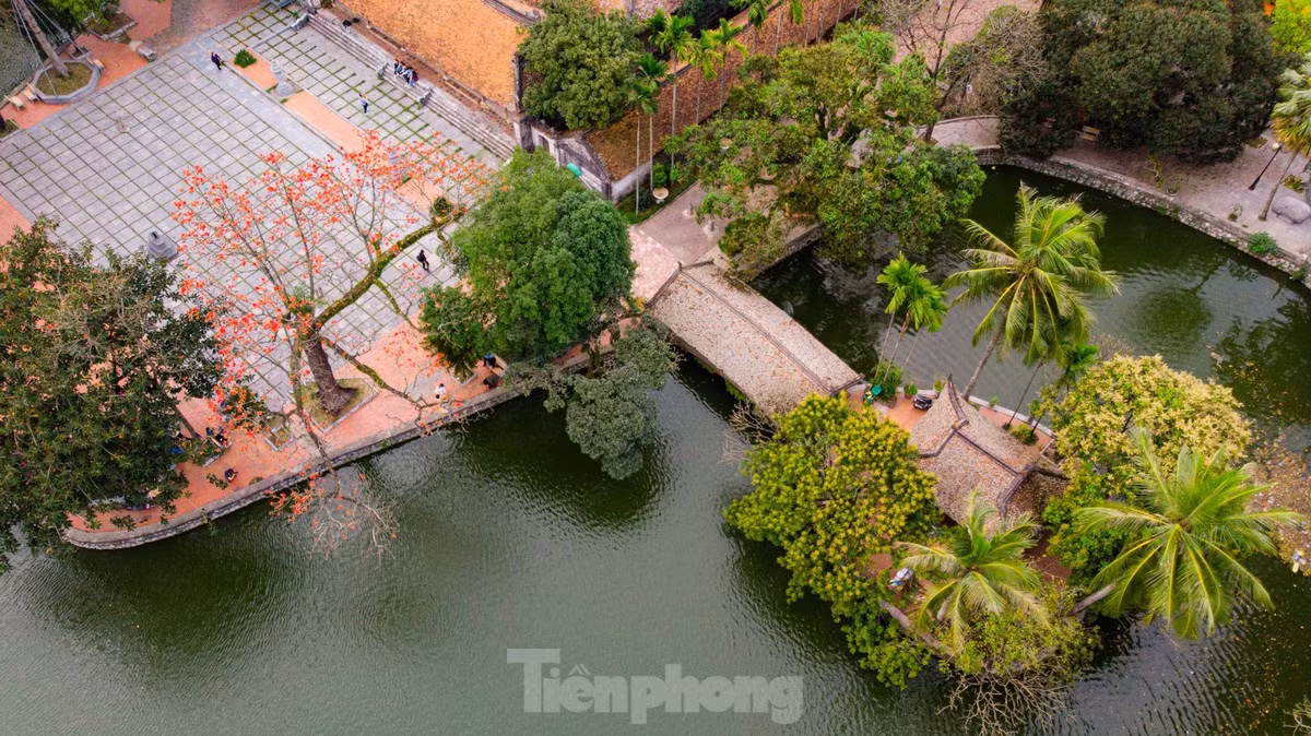 Mỗi độ tháng 3 về, cây gạo cổ thụ ở Chùa Thầy (huyện Quốc Oai, TP Hà Nội) lại bắt đầu nở hoa, nhuộm lên những sắc đỏ rực rỡ trong không gian ngôi chùa cổ kính nghìn năm tuổi.