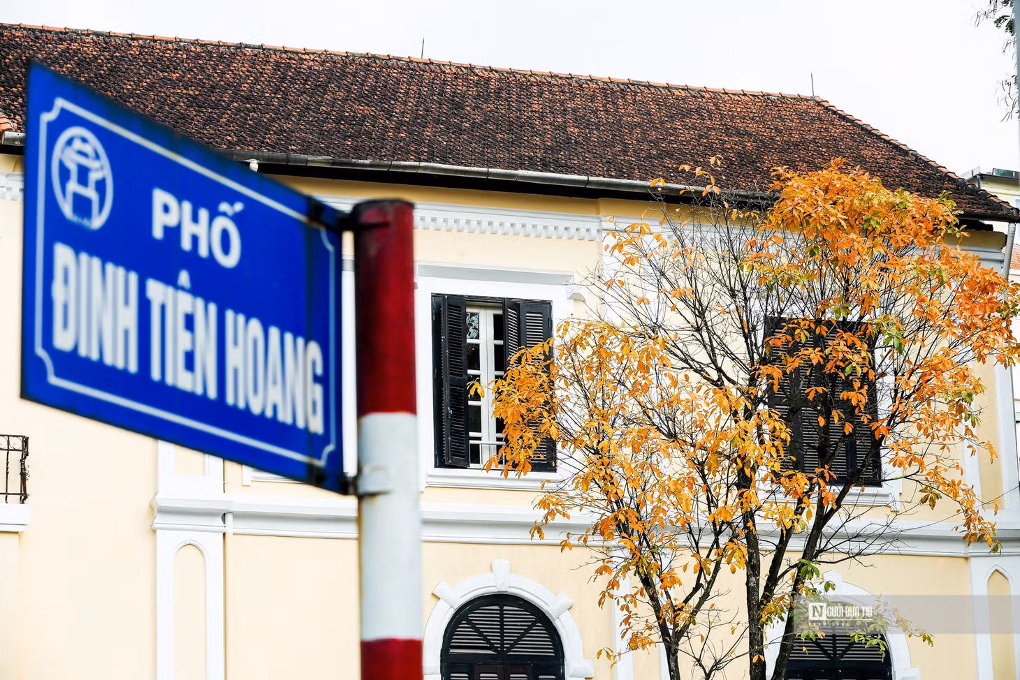 Hà Nội mùa cây thay lá ảnh 4