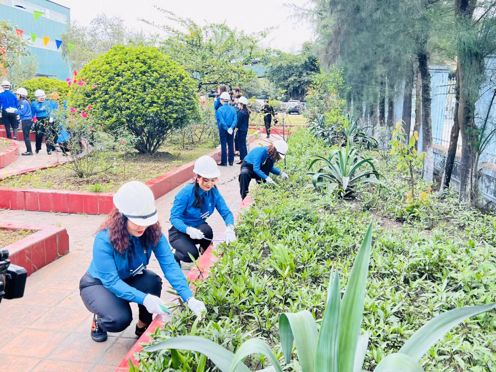 Có 150 CBCNVLĐ tham gia phát động bảo vệ môi trường.