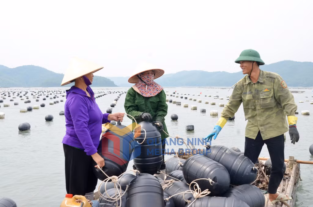 Bí thư chi bộ thôn Ngọc Nam (xã Ngọc Vừng, huyện Vân Đồn) Nguyễn Thị Ngoãn (ngoài cùng, bên trái) vận động người dân chuyển đổi phao xốp sang phao nhựa trong nuôi trồng thủy sản (11-2022). Ảnh: Nguyễn Thanh