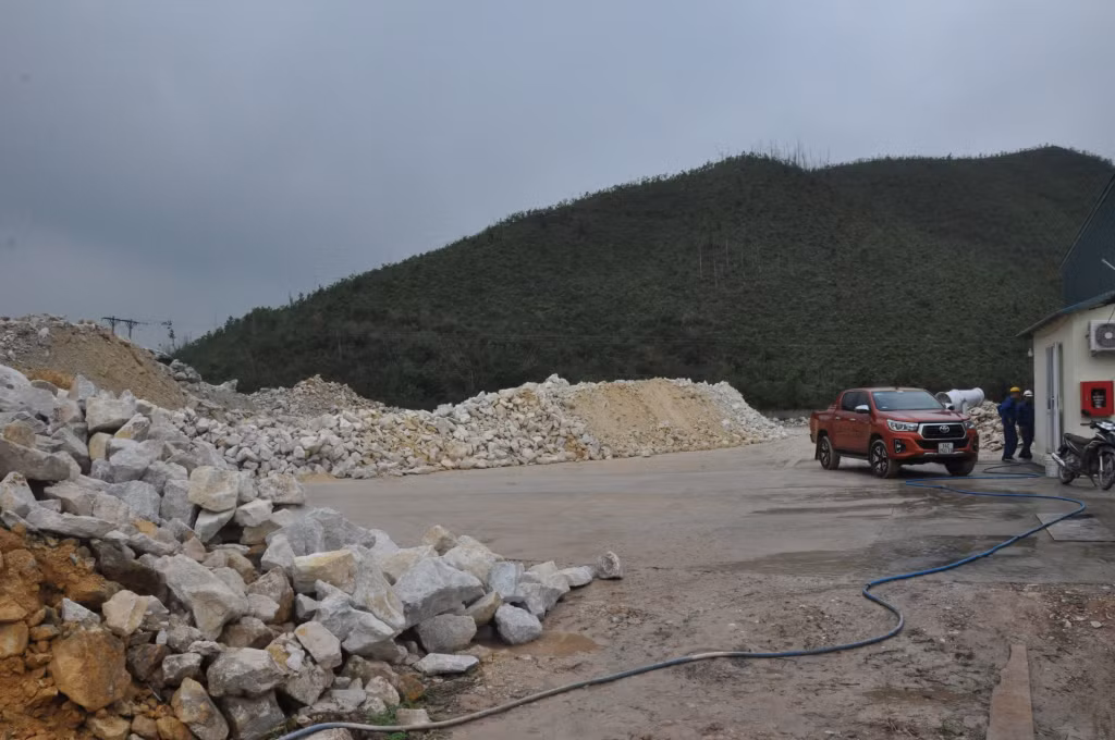 Cá chết hàng loạt, không xác định được nguyên nhân? ảnh 3