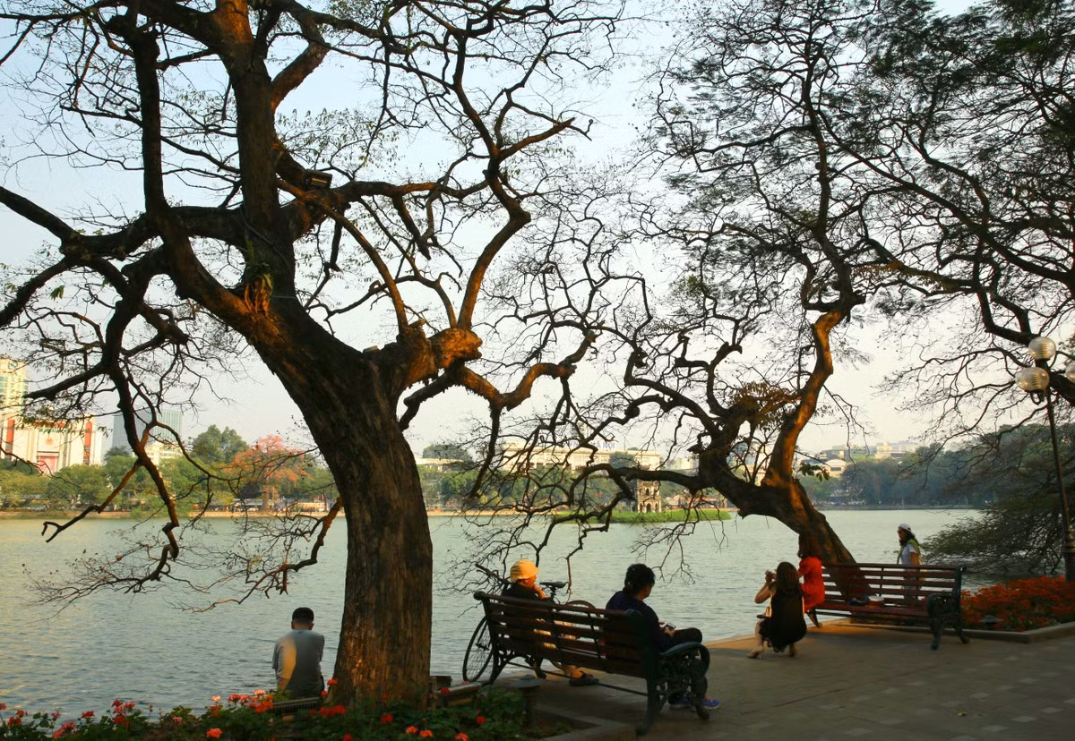 Khi trời đất giao mùa hết xuân sang hè, ta lại thấy "Lập loè cây gạo ra hoa. Nghe trong sâu thẳm cây đa, đình làng…” Rực rỡ sắc đỏ hoa gạo như khát cháy niềm riêng mãnh liệt.