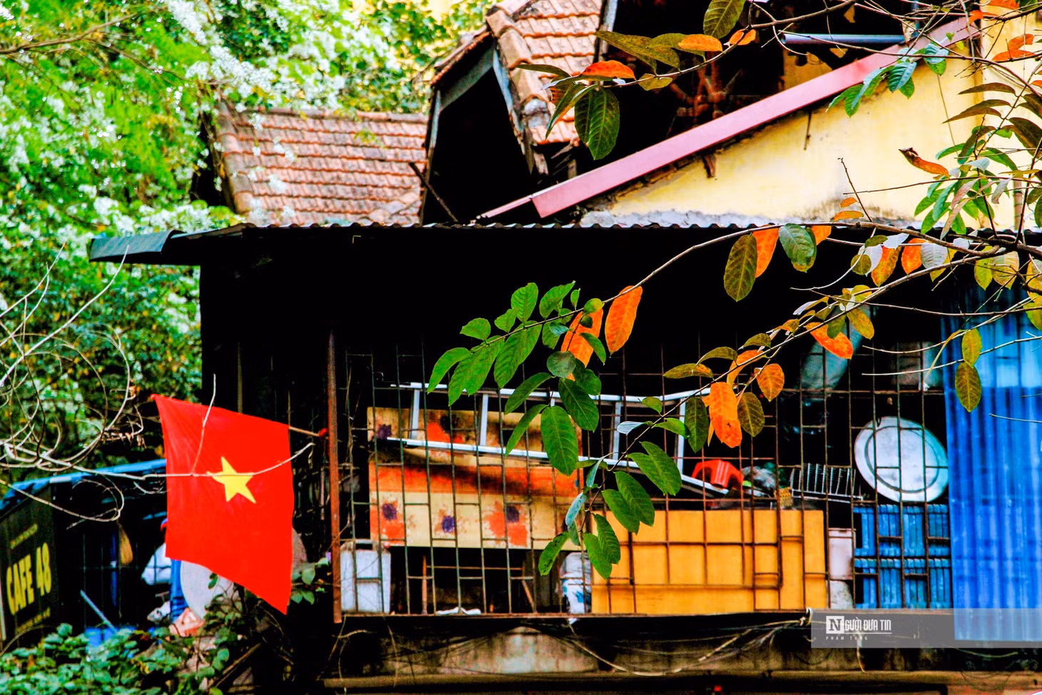 Góc phố khu tập thể Giảng Võ được tô điểm thêm nhiều màu sắc.