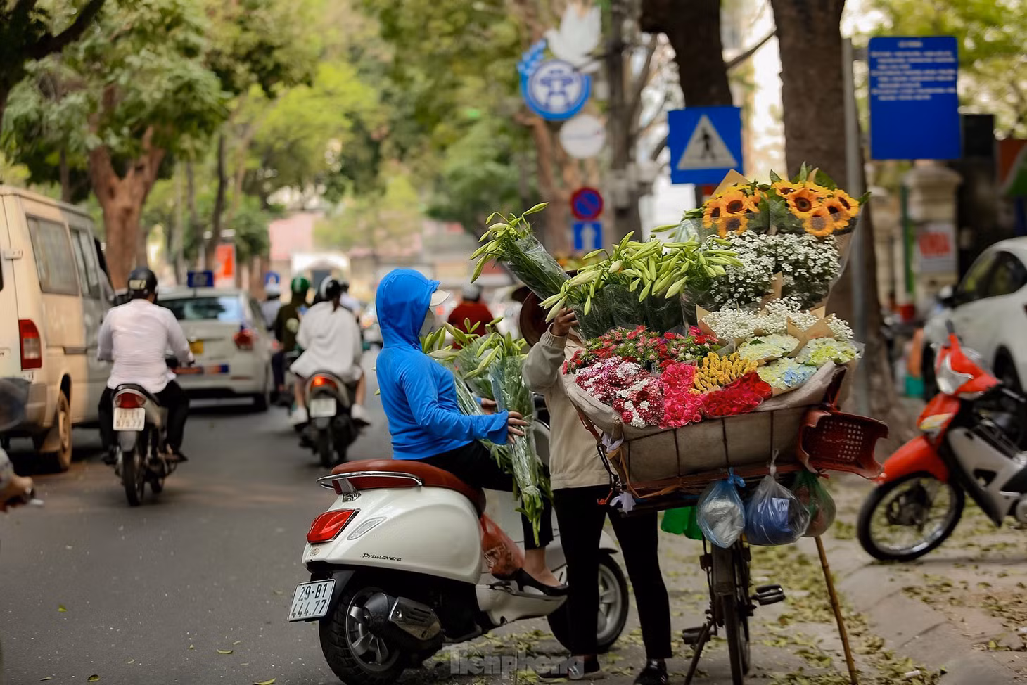 Đâu đâu trên những tuyến phố Hà Nội, dù có vội vã đến mấy cũng có người dừng lại bên những gánh hoa, chăm chú lựa chọn những nhành hoa ưng ý nhất đem về.