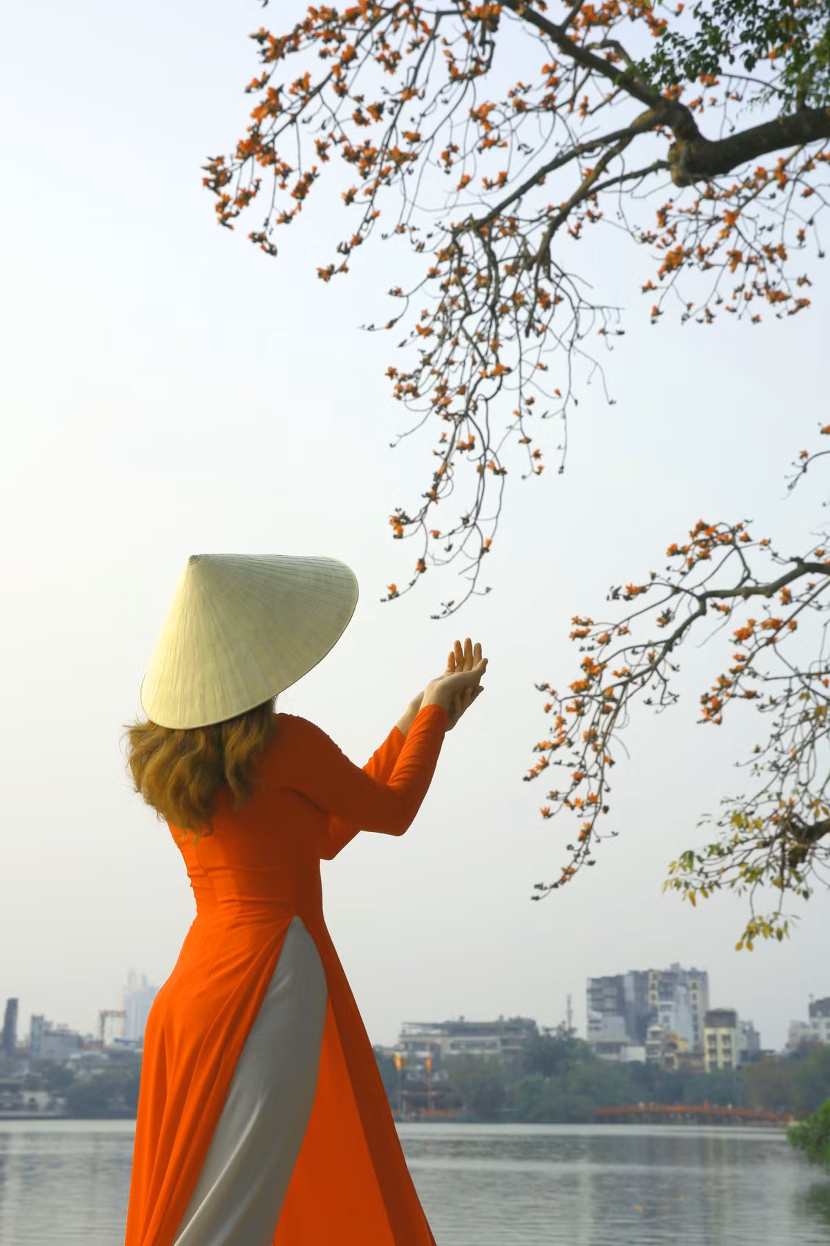 Đoá hoa chứa đựng đầy những khát khao mơ mộng son trẻ, báo hiệu những ngày hạ rộn rã tươi vui gọi mời tiếng ve râm ran quanh Hồ Gươm xanh ngắt.