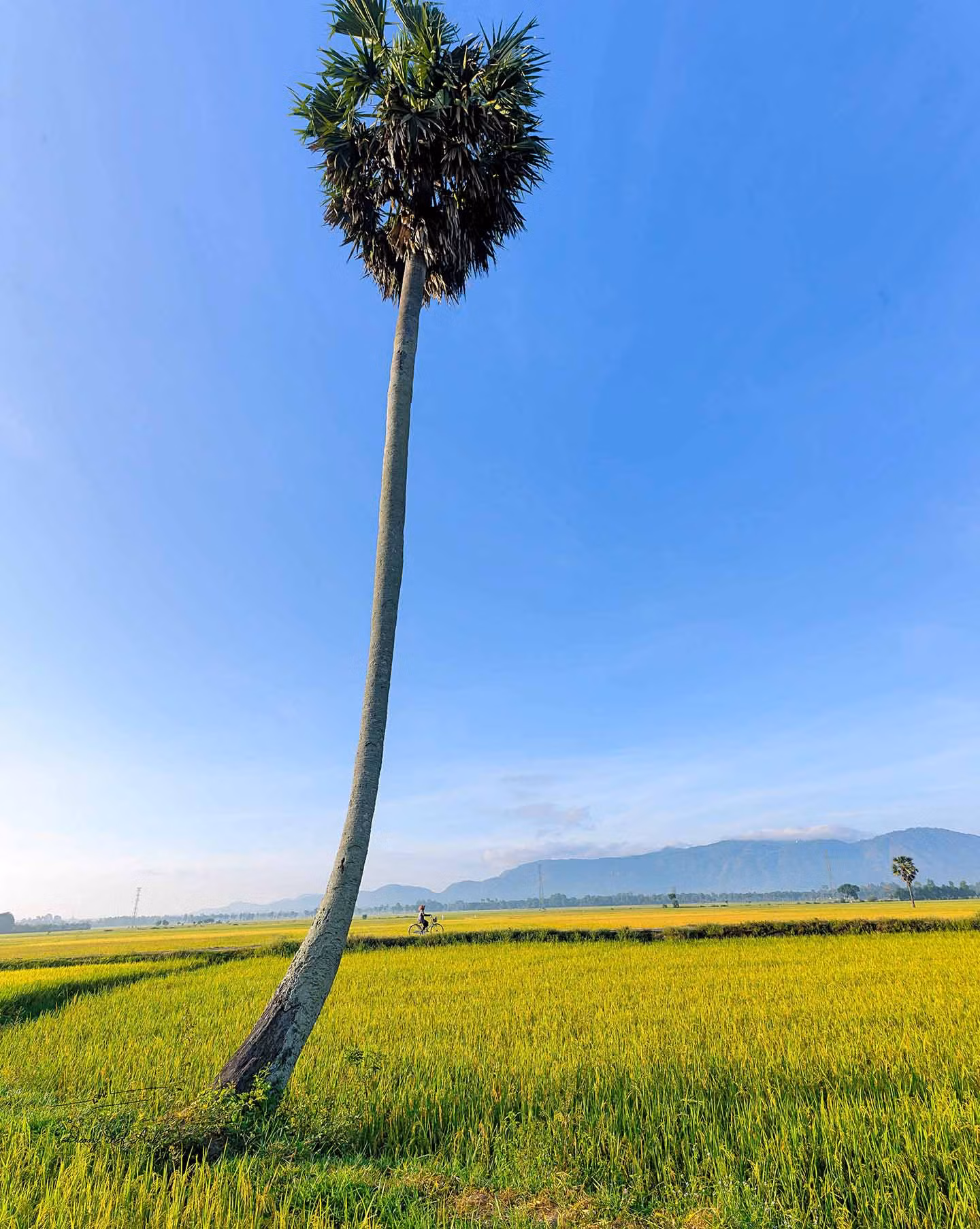 Không chỉ là điểm đến của người dân địa phương trong mùa gặt, huyện Tịnh Biên cũng thu hút rất nhiều du khách và những người yêu thích nghệ thuật đến khám phá. Ảnh: Dương Việt Anh