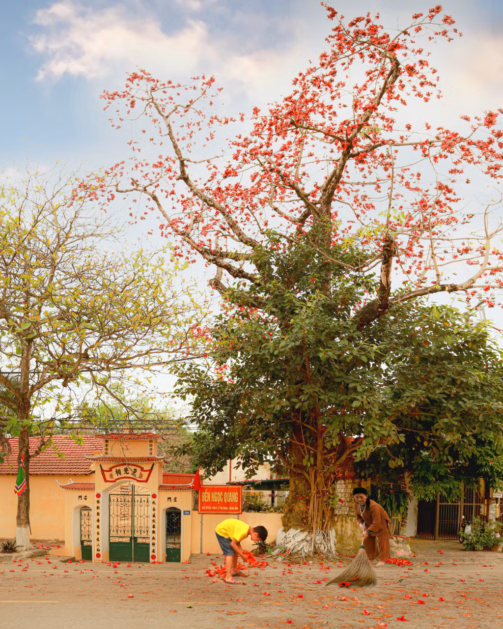 Dưới gốc gạo già.