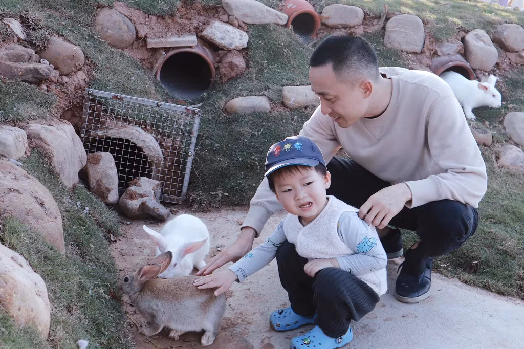 Các bạn nhỏ có thể tham quan, tương tác với những động vật nhỏ, hiền lành tại Đảo Tím. Ảnh do đơn vị cung cấp.