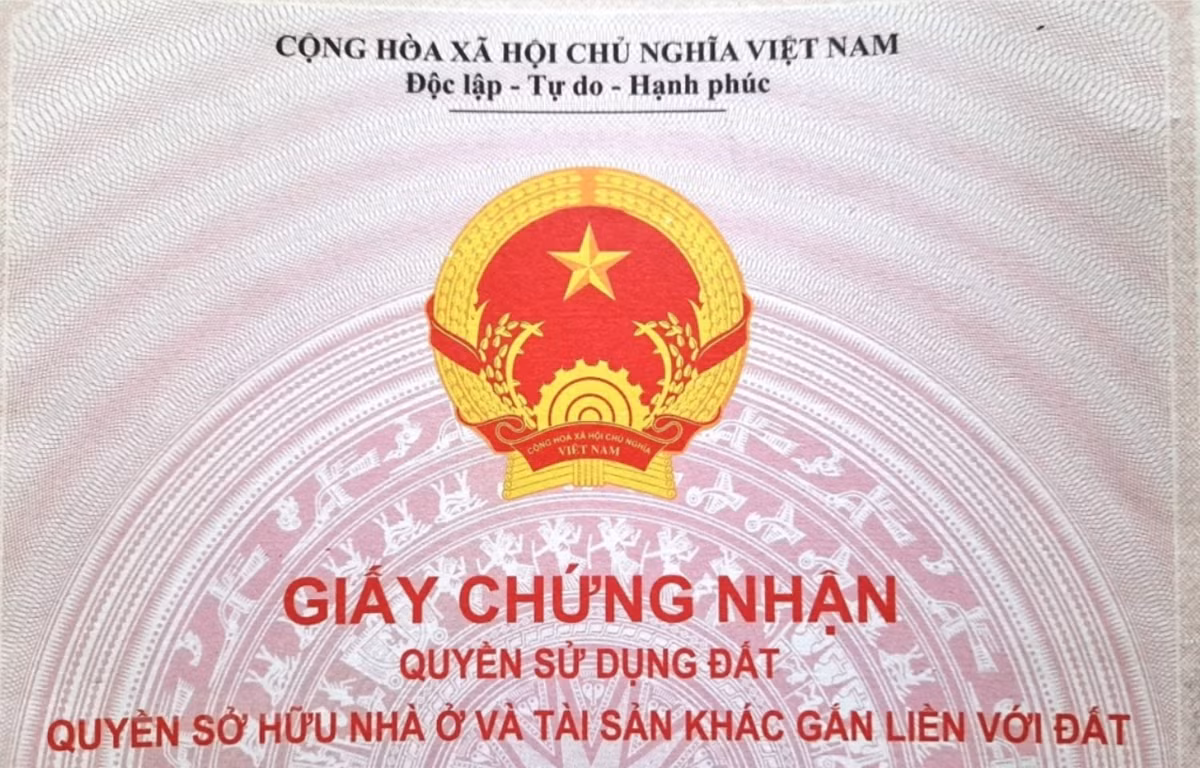 Ảnh minh họa. (Nguồn: Hùng Võ/Vietnam+)
