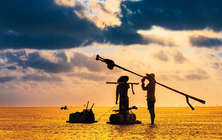 Tại đây, thu vào mắt du khách là cảnh những người dân lao động đánh bắt thủy hải sản vào buổi sáng sớm vô cùng mộc mạc và yên bình.