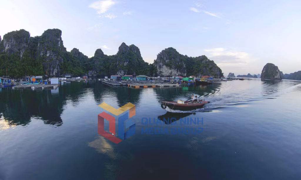 Làng chài nuôi trồng hải sản trên Vịnh (6-2017). Ảnh: Dương Phượng Đại