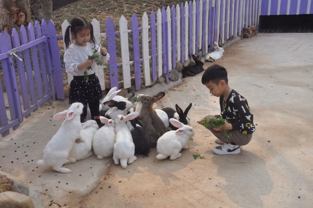 Du lịch khởi sắc với nhiều điểm nhấn ảnh 1