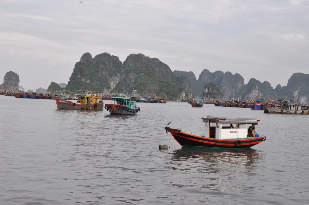 Tàu, thuyền di chuyển về neo đậu tại khu vực vùng biển kín đối diện công viên Hoa Hạ Long (TP Hạ Long) để tránh cơn bão số 1 năm 2023.