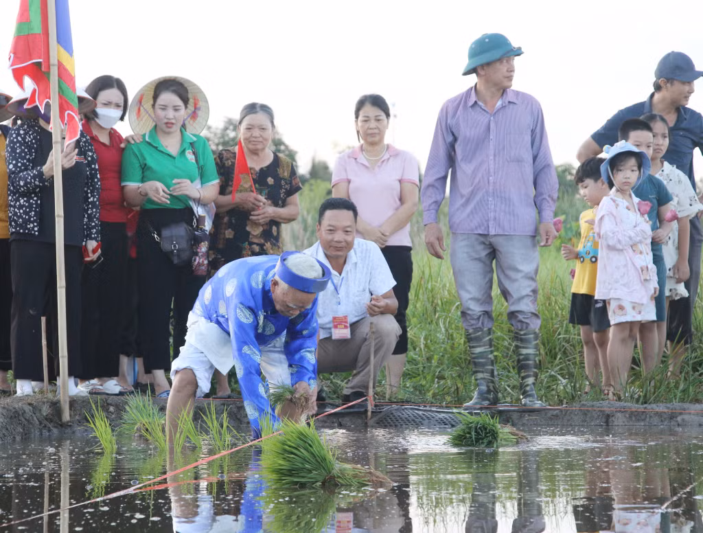 Ông chủ tế xuống ruộng trước cửa đình Cốc cấy những cây lúa đầu tiên trước sự chứng kiến của dân làng.