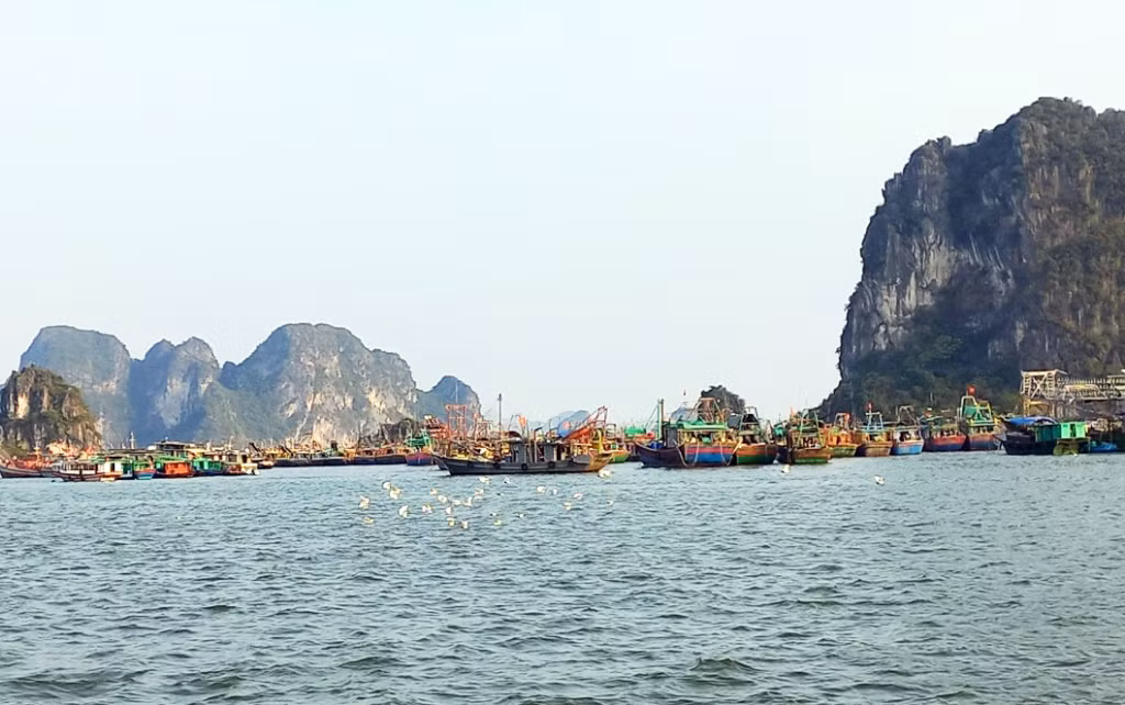 Các tàu, thuyền vào đã bắt đầu vào nơi tránh trú an toàn.