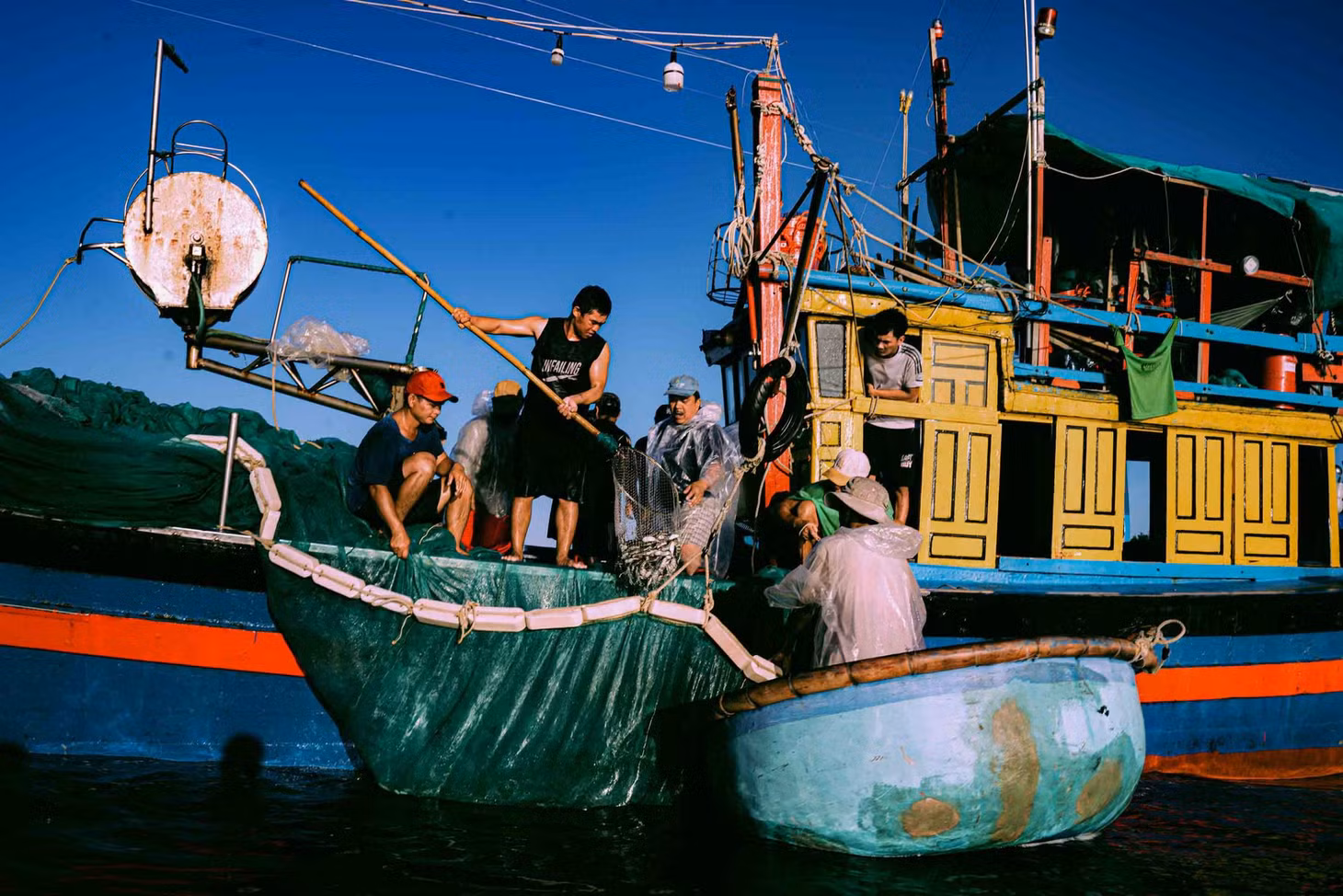 Ngư dân đưa cá lên thuyền. Ảnh: Hoàng Lê