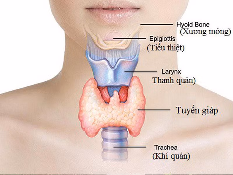 Bệnh tuyến giáp khó giảm cân. Ảnh: Bệnh viện Chợ Rẫy