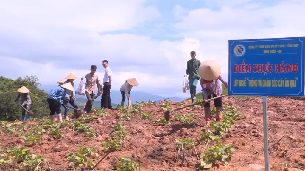 Thực hành lớp nghề "Trồng và chăm sóc cây ăn quả" tại xã Quảng Lâm (huyện Đầm Hà), tháng 3/2023.