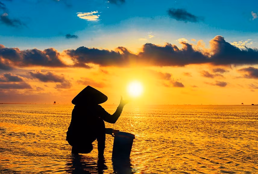 Trong thời gian những năm gần đây, biển vô cực Thái Bình đã gây được sức hút với nhiều du khách bởi vẻ đẹp kết hợp giữa thiên nhiên và người lao động trên biển.