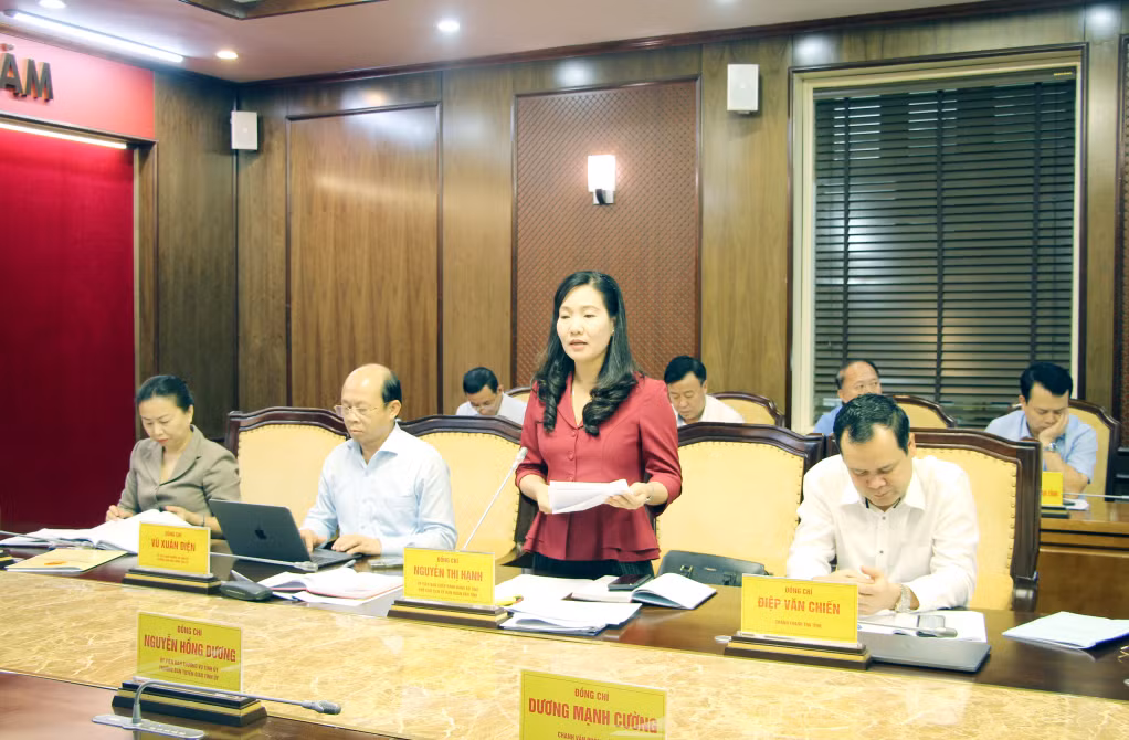 Đồng chí Nguyễn Thị Hạnh, Phó Chủ tịch UBND tỉnh, phát biểu tại cuộc họp.
