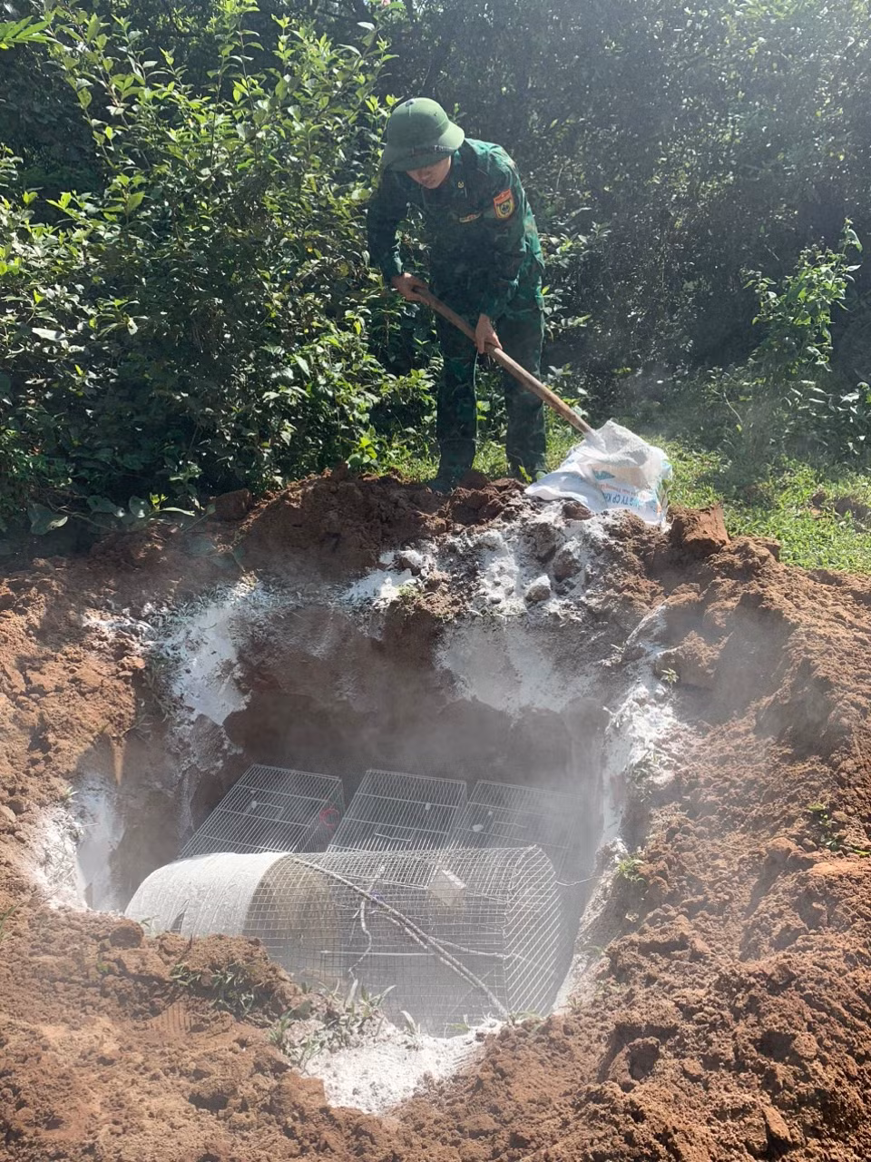 Lực lượng chức năng tiêu huỷ cá thể động vật không rõ nguồn gốc. Ảnh do Đồn BP Bắc Sơn cung cấp