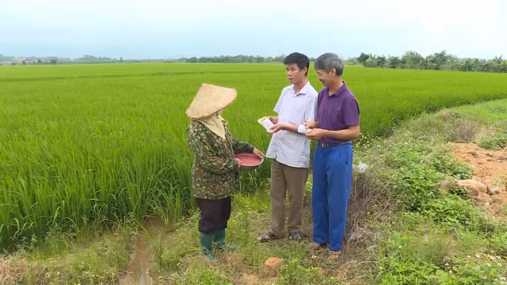 Đại diện HTX dịch vụ nông nghiệp Việt Dân (TX Đông triều) hướng dẫn bà con nông dân sử dụng thuốc bảo vệ thực vật đúng cách, đảm bảo an toàn.