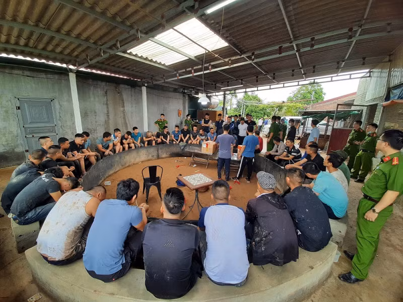 Nhóm đối tượng bị bắt giữ