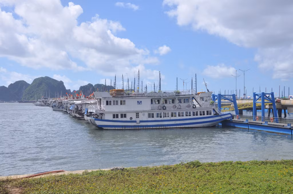 Ông Bùi Đức Long khẳng định từ bài học Covid-19, các doanh nghiệp tàu du lịch sẽ không tiếp tục mạo hiểm để đầu tư dàn trải, quá sức của mình.