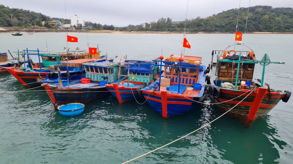 Các tàu cá của ngư dân Cô Tô đều treo cao lá cờ Tổ quốc.