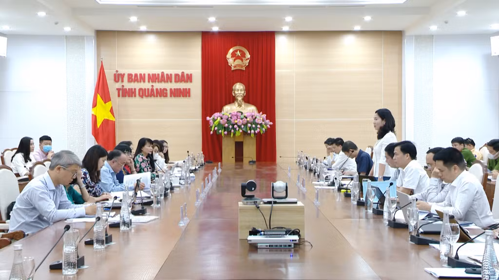 Đồng chí Nguyễn Thị Hạnh, Phó Chủ tịch UBND tỉnh, phát biểu tại buổi làm việc.