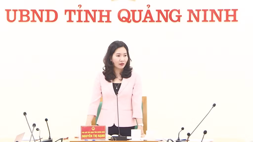 Đồng chí Nguyễn Thị Hạnh, Phó Chủ tịch UBND tỉnh kết luận cuộc họp.