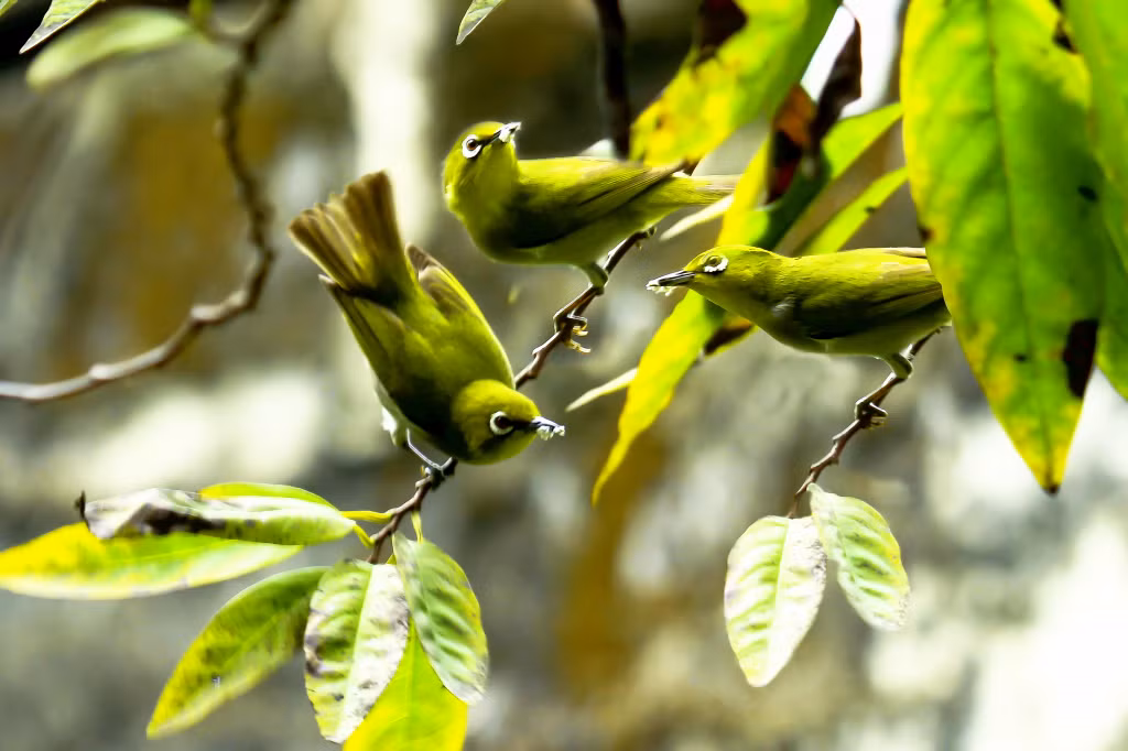 Thành quả của chăm chỉ.