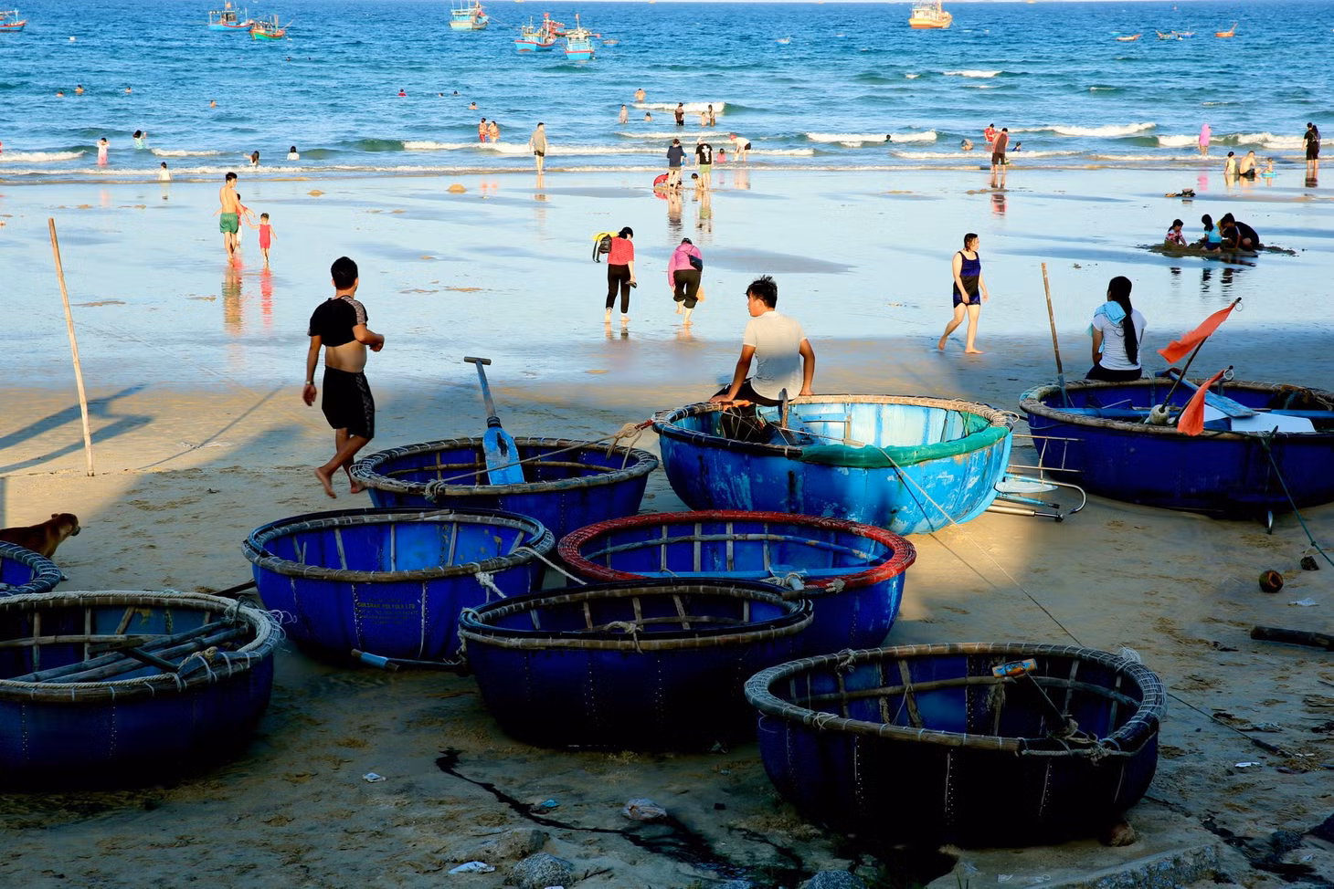 Những thuyền thúng xanh đỏ, điểm thêm sắc vàng của nắng tạo nên một khung cảnh cực kỳ thơ mộng khiến bạn chỉ muốn cầm ngay máy ảnh lên và chụp những khung hình đẹp nhất.