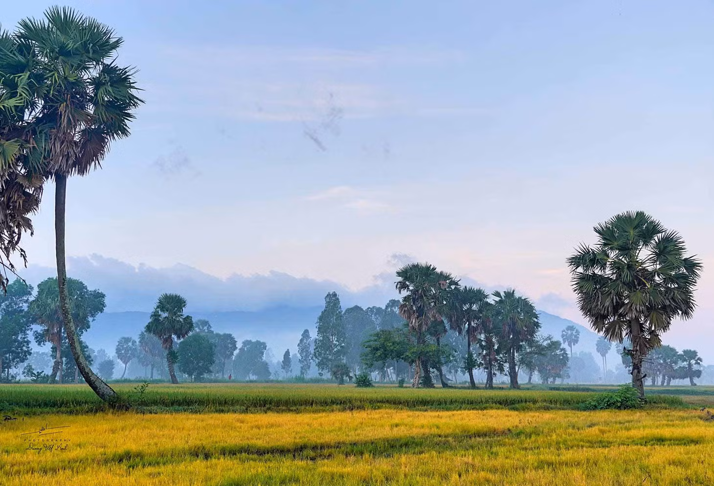 Để săn được ảnh đẹp, du khách nên đi vào lúc sáng sớm hoặc chiều tà, khi đó sẽ có ánh sáng tốt để cho ra những bức ảnh ấn tượng. Ảnh: Dương Việt Anh