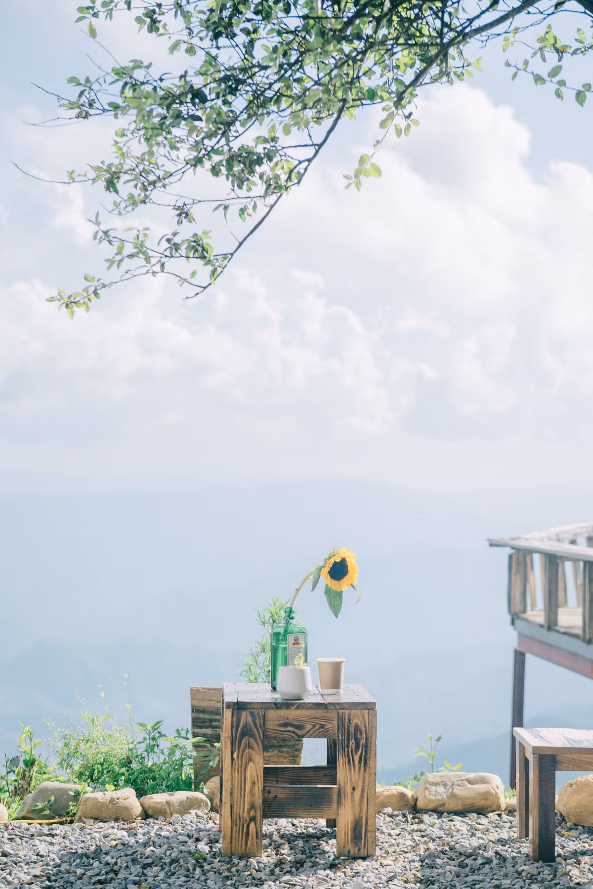 Săn mây đầu mùa ở Tà Xùa ảnh 10