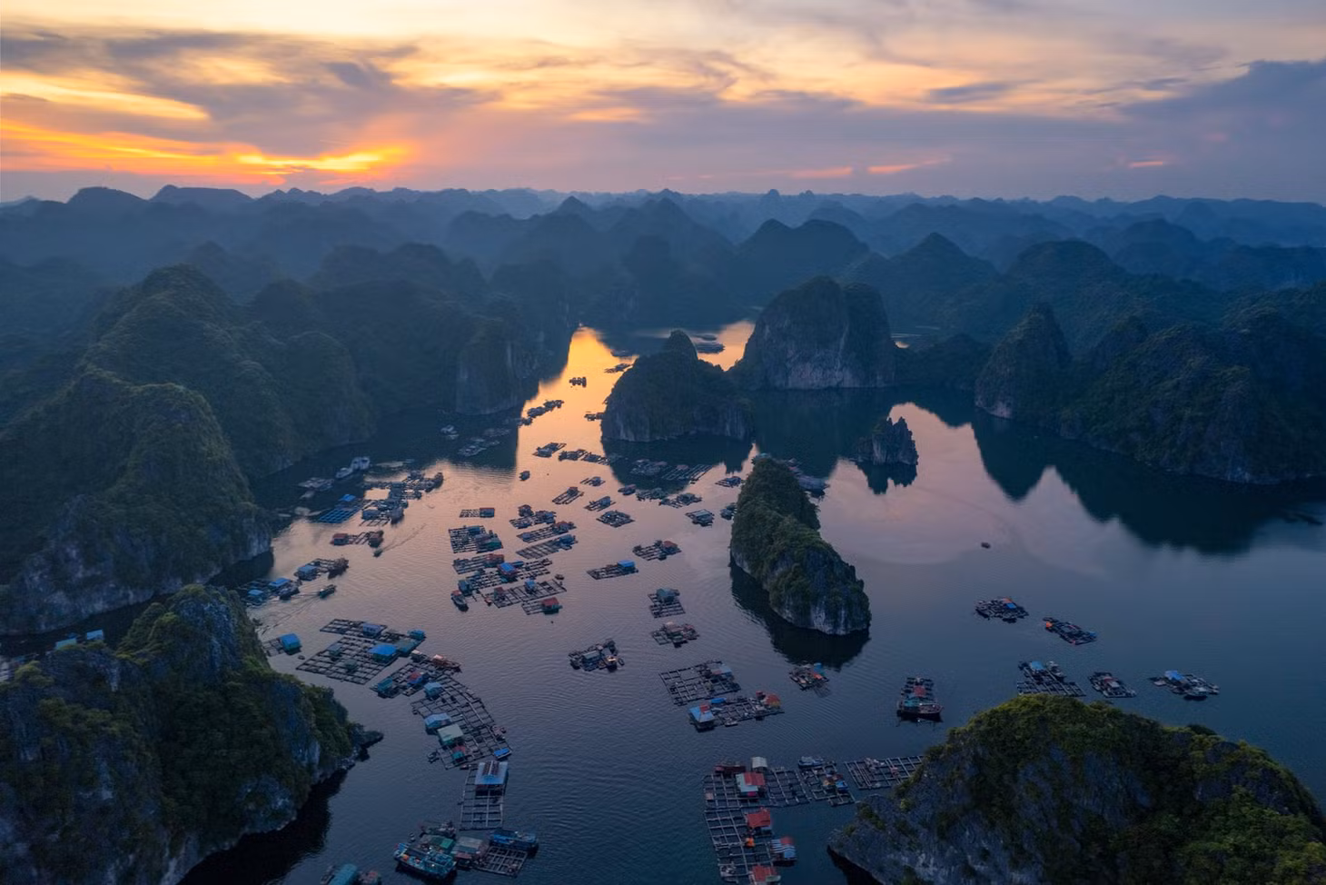 Cái tên "Lan Hạ" có nghĩa là đóa hoa lan được giáng xuống trần thế làm đẹp cho đời