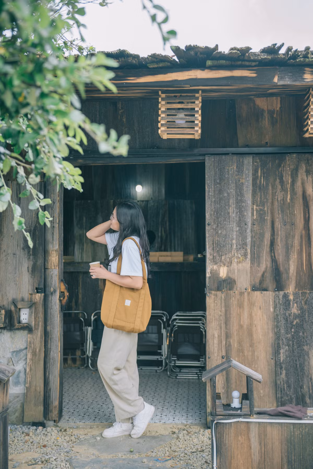 Săn mây đầu mùa ở Tà Xùa ảnh 6