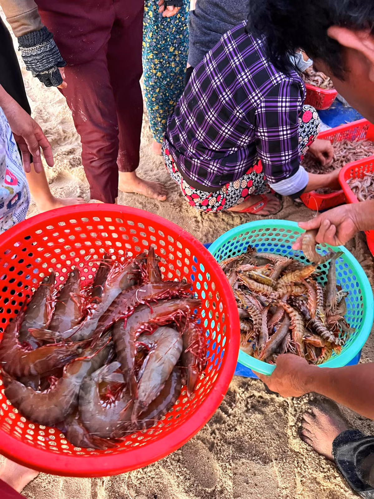 Bình minh trên biển Bình Minh ảnh 7