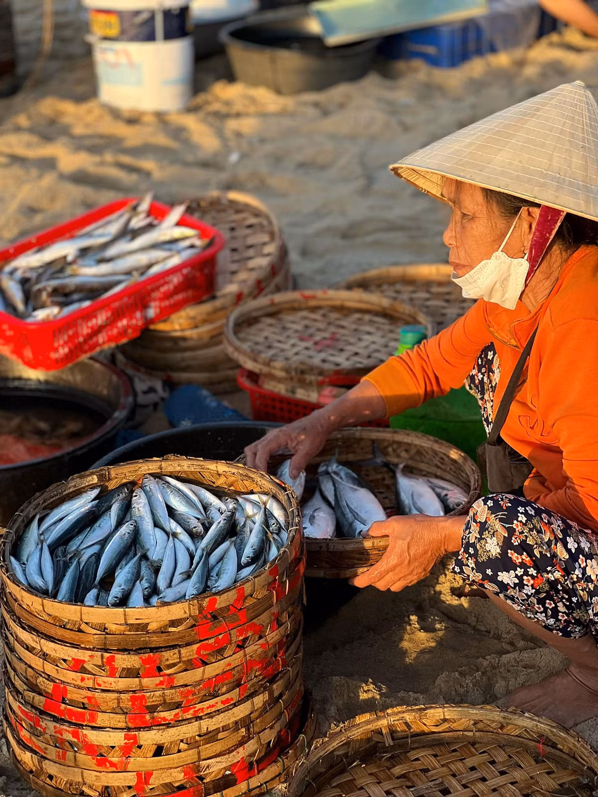 Bình minh trên biển Bình Minh ảnh 6