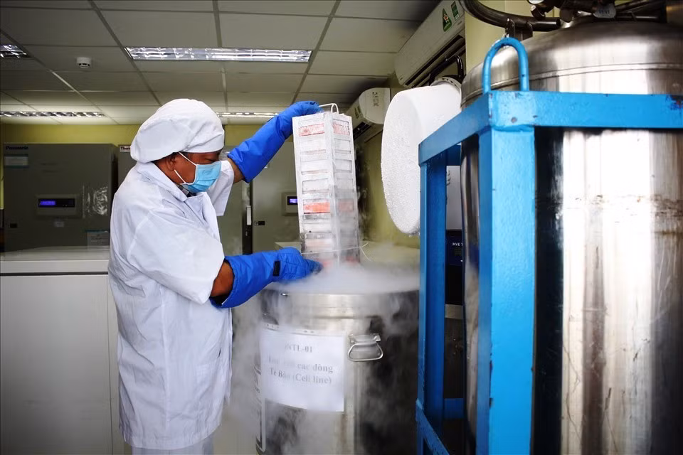 Cục Thú y khẳng định vaccine của Navetco đạt yêu cầu chất lượng về vô trùng, an toàn và hiệu lực bằng phương pháp công cường độc. Ảnh: TL