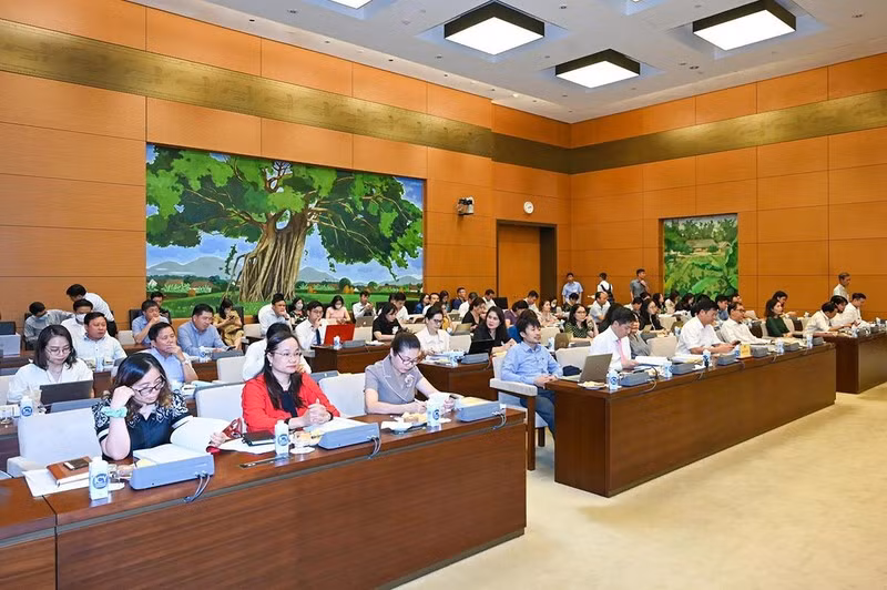 Các đại biểu dự hội thảo.