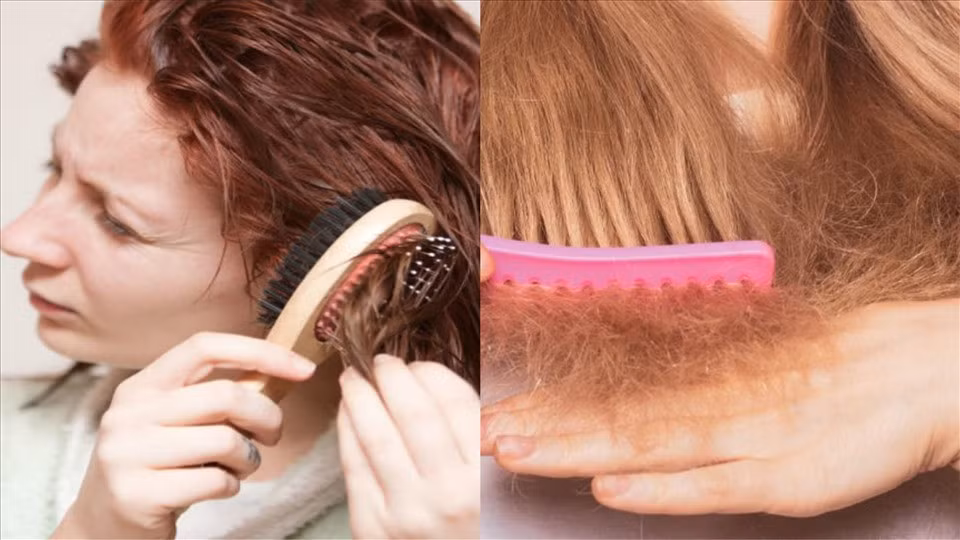 Sau khi tắm hồ bơi, tóc của chúng ta rất dễ bị khô (Ảnh đồ họa: Lâm Anh)