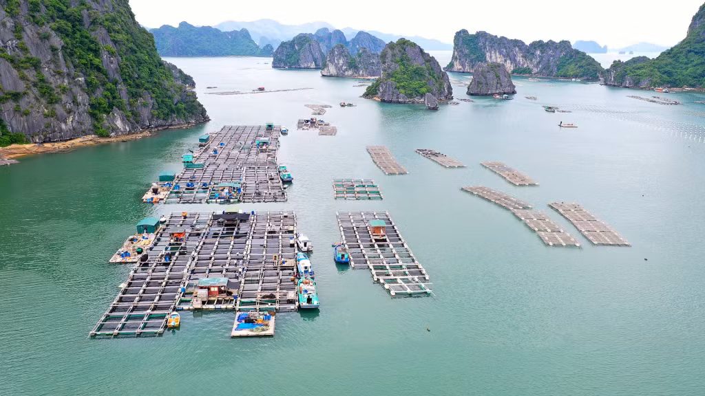 Vân Đồn còn nhiều tiềm năng phát triển nông nghiệp gắn với du lịch, cần sự vào cuộc và đầu tư đồng bộ. Ảnh: Minh Hà