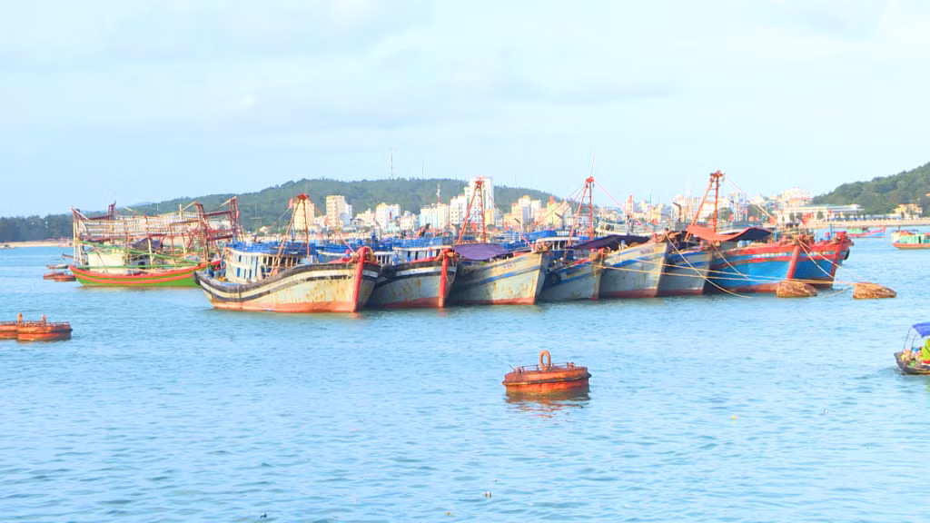 Quảng Ninh có trên 8.000 tàu khai thác thủy sản.