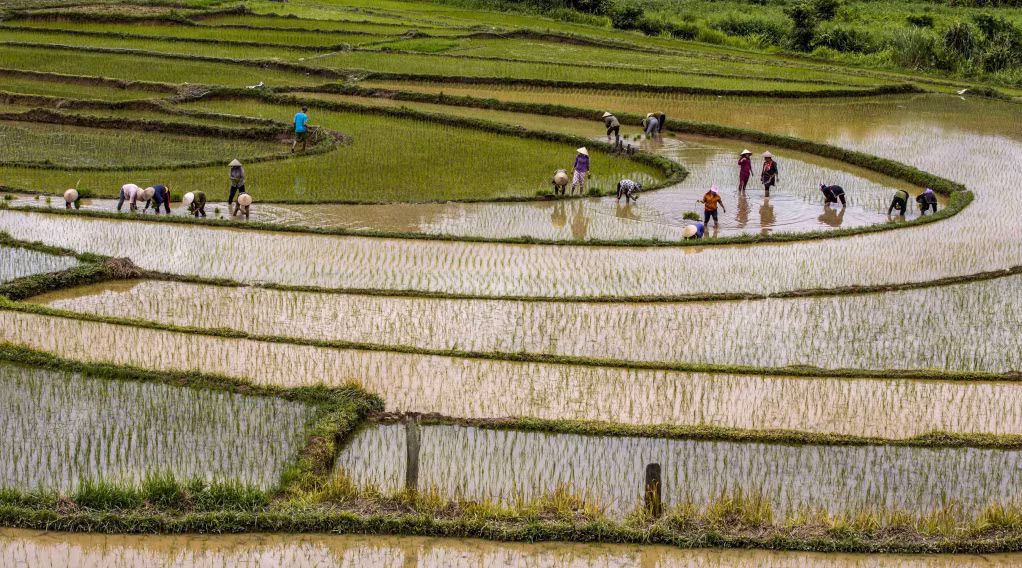 Cung bậc ngày mùa.