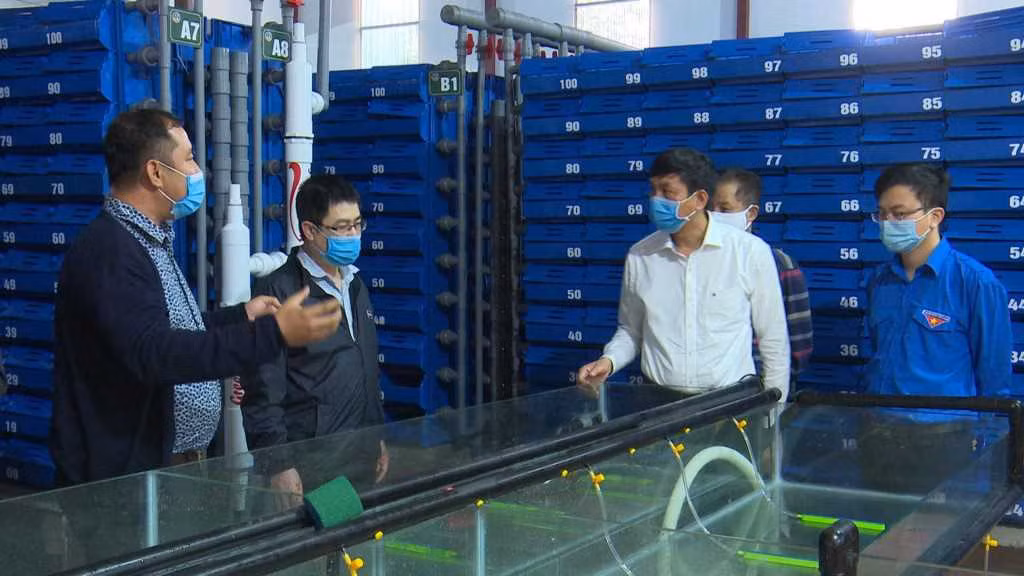 Lãnh đạo Sở KH&amp;CN làm việc với Công ty Green Aquatech (TP Cẩm Phả).