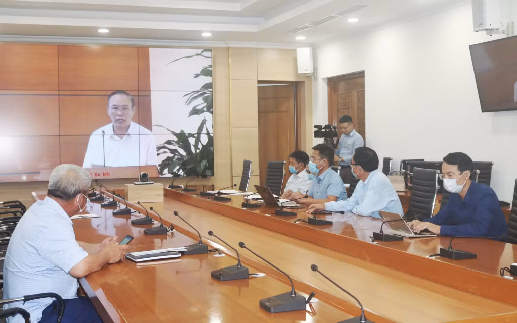 Tỉnh Quảng Ninh dự hội nghị trực tuyến bàn giải pháp phát triển ngành tôm năm 2021.