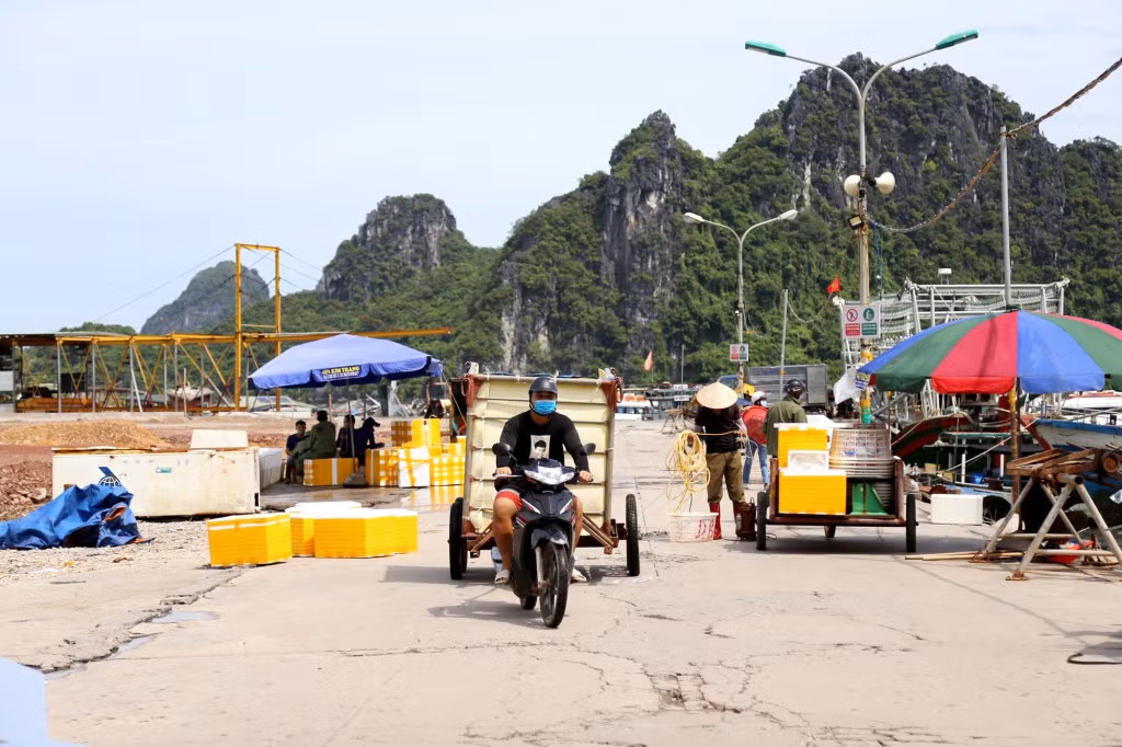 Hoạt động thu mua, vận chuyển hải sản ở cảng Cái Rồng đã không còn nhộn nhịp như thời điểm trước khi dịch Covid-19 bùng phát.