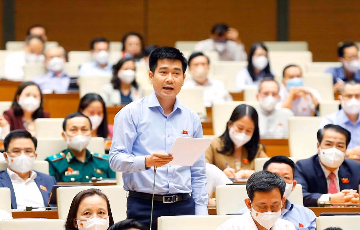 Đại biểu Quốc hội tỉnh Thanh Hóa Lê Thanh Hoàn phát biểu ý kiến. (Ảnh: Doãn Tấn/TTXVN)